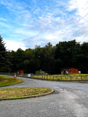 Winding path of a gravel pathway in a city park with many trees.