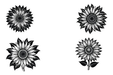 Fototapeta premium This is sunflowers black and white illustration 