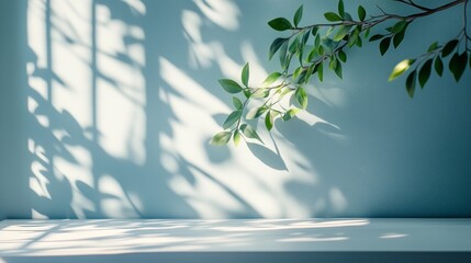 Abstract blurred background with beautiful sunlight shadow on white wall and table, close up. Background for product presentation.