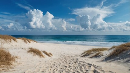 sand beach and blue sky