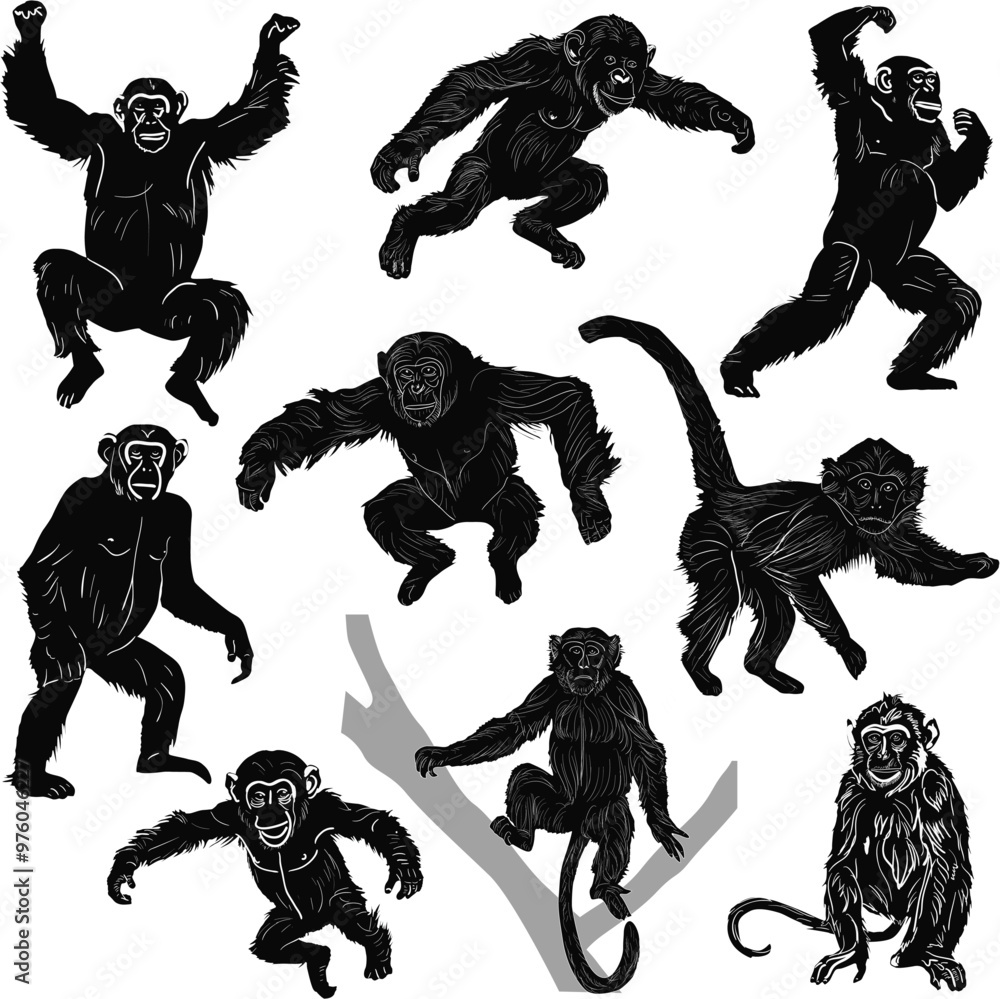 Sticker set of nine monkeys isolated on white