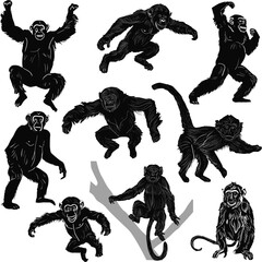 set of nine monkeys isolated on white