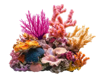 Gardinen Vibrant coral reef scene showcasing diverse marine life with colorful corals, ideal for ocean and nature-themed projects. © ชลธิชา สว่างวงค์