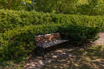 bench in the park