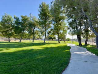 a serene tree-lined park walking path invites relaxation, with towering trees providing shade and a peaceful atmosphere, perfect for leisurely walks, exercise, or enjoying nature’s beauty