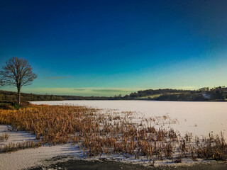 Winter at Calloughs Lough, Carrigallen, Ireland. A frozen lake with snow-covered reeds under a blue sky, capturing the serene and tranquil beauty of the Irish countryside in winter.