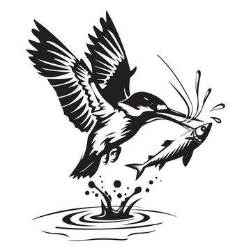 recommend clip art: River Kingfisher Clipart Silhouette - Common Kingfisher Catching a fish Silhouette illustration in a White Background