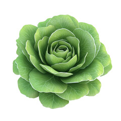 Obraz premium A fresh, vibrant green lettuce close-up, showcasing its delicate leaves and intricate texture, perfect for food-related themes., isolated on a transparent background.
