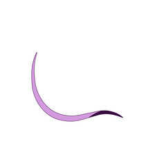 Traponema Palladium Bacteria 