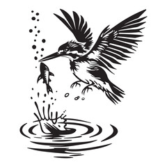River Kingfisher Clipart Silhouette - Common Kingfisher Catching a fish Silhouette illustration in a White Background