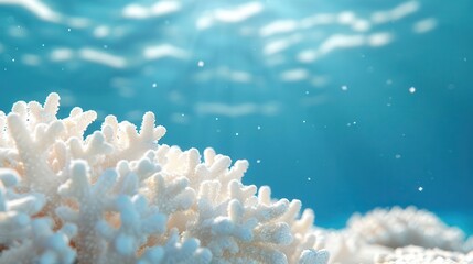 Close-up of white coral reef in clear blue water.