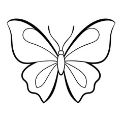     Butterfly vector illustration.
