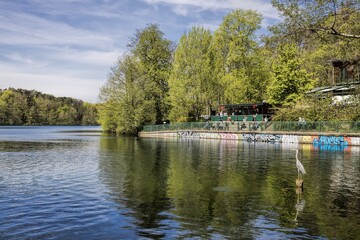 Obraz premium berlin, deutschland - idylle mit reiher am schlachtensee
