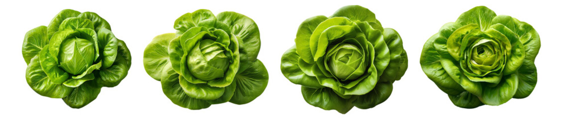 Fototapeta premium Top view of four fresh green lettuce heads arranged in a row, perfect for salads, healthy eating, and vegetarian diet concepts.