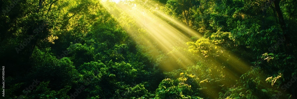Poster sunbeams filtering through a dense forest canopy, creating a magical and ethereal atmosphere. the im