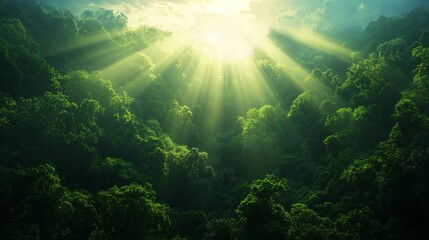 Sunbeams filtering through a dense forest canopy, creating a breathtaking spectacle of light and shadow. The image evokes a sense of tranquility, renewal, and the interconnectedness of nature.
