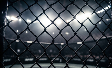 A blurred view of an empty MMA cage seen through a chain-link fence, lit dramatically by arena lights.