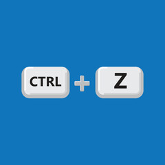 Ctrl Z is used as a shortcut to Undo