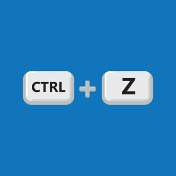 Ctrl Z is used as a shortcut to Undo