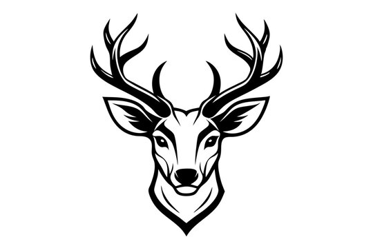 recommend clip art: Deer head vector line art illustration
