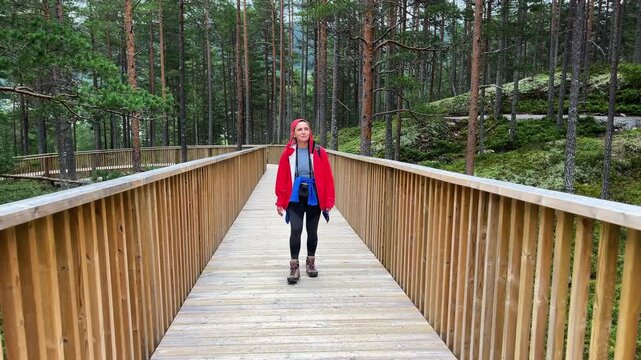 Woman tourist walking in Hamaren Activity Park wooden walkway 4K footage. Walking path surraunded pine trees forest during late summer windy day. Traveling and beauty of Scandinavia concept.