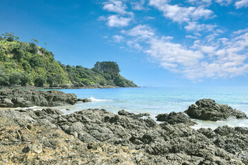 panoramic landscape view to Palm Beach on Waiheke Island, Auckland, North Island, New Zealand