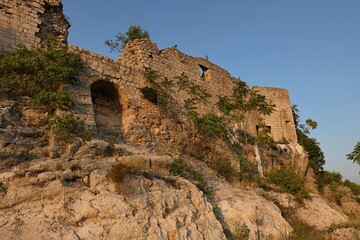 Fototapeta premium South wall of Croatian medieval coastal fortress Fortica, also called Novigrad Castle, outgrowing by some foliage, sunlit by summer afternoon sunshine, clear blue skies. 