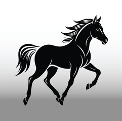 horse silhouette isolated on white