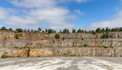 Layered granite wall covered with plants and trees. Gray and yellow tones. Ourém Portugal