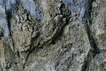 Rough surface texture of the gray cement wall for background. Stone wall textured.