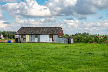 Fototapeta premium Metal plated colorful farmer shed and green meadows at the Flemish countryside in Linter, belgium