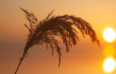 sunset in the mountains