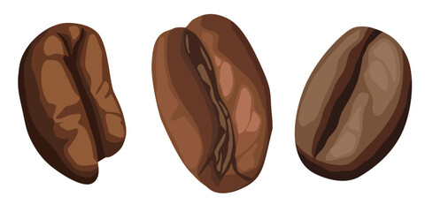 Simple illustration of coffee beans. Vector illustration. Coffee beans on isolated white background