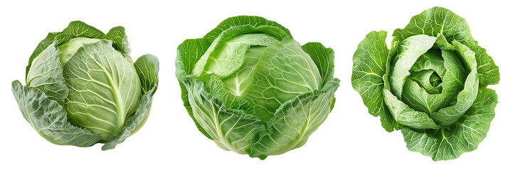 Fototapeta premium Set of a, A vibrant, fresh Cabbage, isolated on a transparent background.