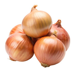 Fototapeta premium onions and garlic