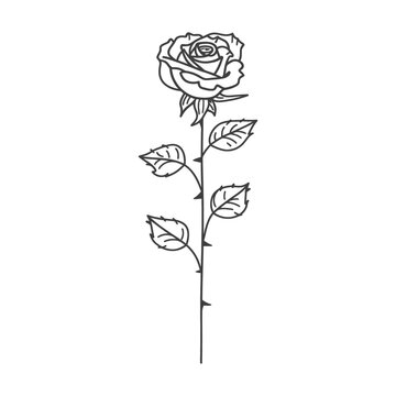 recommend clip art: A Single Rose with Stem and Leaves in Black and White Line Art