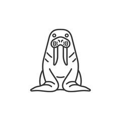 Line Art Illustration of a Walrus with Large Tusk