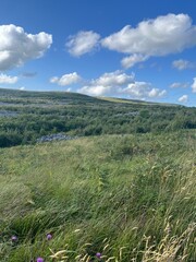 meadow with clouds