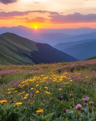 Fototapeta premium Stunning sunset over the Carpathian Mountains with blooming wildflowers in vibrant meadows