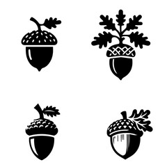 acorn icon, acorn silhouette, acorn vector, acorn illustration © Haider