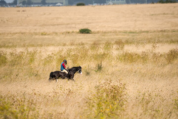 lady horse riding in open late summer countryside Wilts UK
