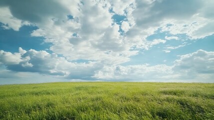 Obraz premium Green Field Under Cloudy Sky