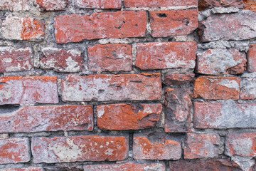Obraz premium Old brick wall. Red brick. Close up.