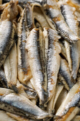 Close up marinated white anchovies in vinegar. Background