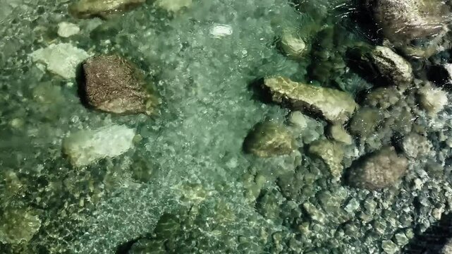 渡瀬川上流部の清流