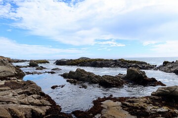 Calm tide pools reflecting the bright blue sky, creating a serene and mirrored landscape.