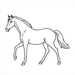 Fototapeta premium a beautiful horse outline for coloring page 