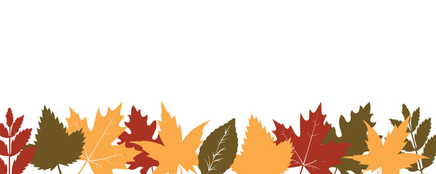 autumn leaves border, colorful, white background clip art preview