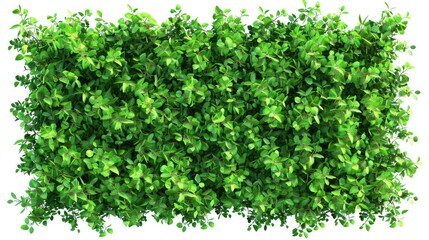 Naklejka premium A detailed view of a plant with lush green leaves, suitable for use in nature-inspired designs and illustrations