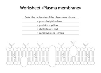 Obraz premium Worksheet 